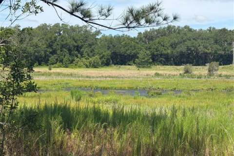 Land in Ocklawaha, Florida № 2203629 - photo 5