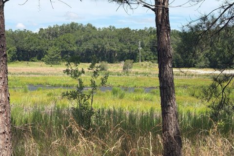 Land in Ocklawaha, Florida № 2203629 - photo 6