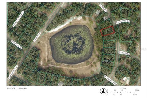 Land in Ocklawaha, Florida № 2203629 - photo 9