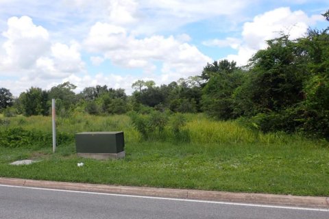 Immobilier commercial à vendre à Kissimmee, Floride № 2247023 - photo 4