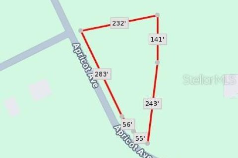 Terreno en venta en Eustis, Florida № 2095349 - foto 3