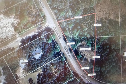 Terreno en venta en Eustis, Florida № 2095349 - foto 4