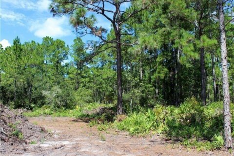 Terreno en venta en Eustis, Florida № 2095349 - foto 2