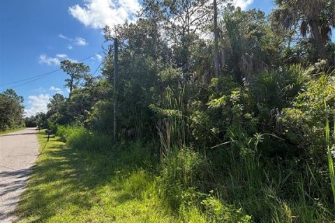 Land in North Port, Florida № 1894527 - photo 4