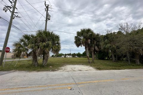Terreno en venta en Okeechobee, Florida № 1836939 - foto 7
