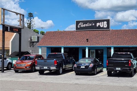 Commercial property in Port Charlotte, Florida 260.13 sq.m. № 2299027