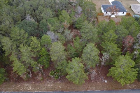 Land in Ocklawaha, Florida № 2162334 - photo 3