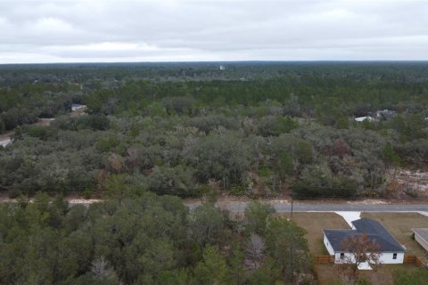 Land in Ocklawaha, Florida № 2162334 - photo 4
