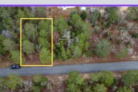 Land in Ocklawaha, Florida № 2162334