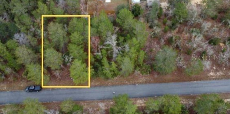 Land in Ocklawaha, Florida № 2162334