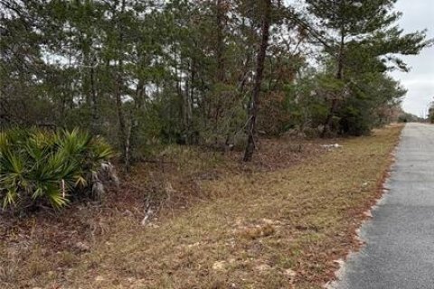 Land in Ocklawaha, Florida № 2162334 - photo 8