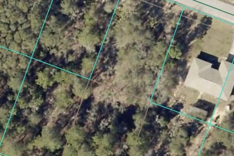 Land in Ocklawaha, Florida № 2162334 - photo 9