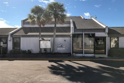 Condominio en alquiler en Tampa, Florida, 2 dormitorios, 81.85 m2 № 1826702 - foto 14
