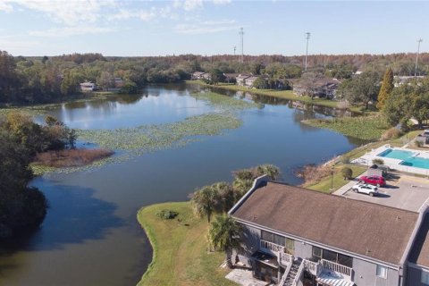 Condominio en alquiler en Tampa, Florida, 2 dormitorios, 81.85 m2 № 1826702 - foto 20
