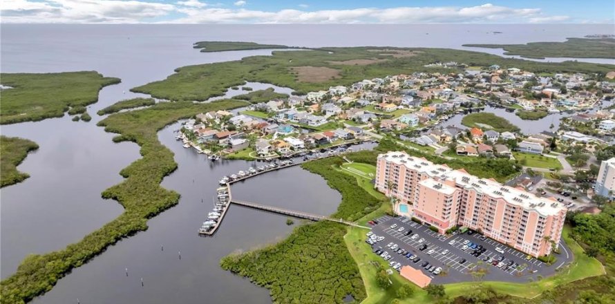 Condominio en New Port Richey, Florida, 2 dormitorios  № 1535930