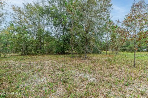 Land in Middleburg, Florida № 859535 - photo 1