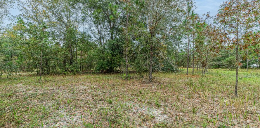 Land in Middleburg, Florida № 859535