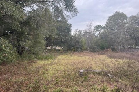 Commercial property in Brooksville, Florida 95.22 sq.m. № 1534399 - photo 15