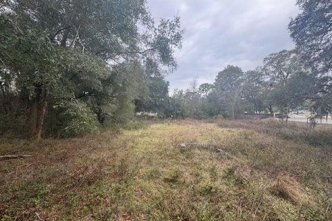 Commercial property in Brooksville, Florida 95.22 sq.m. № 1534399 - photo 16