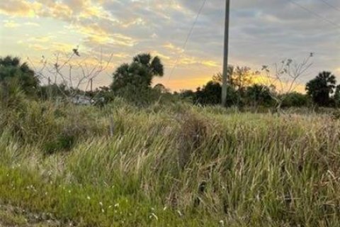 Land in Okeechobee, Florida № 2159108