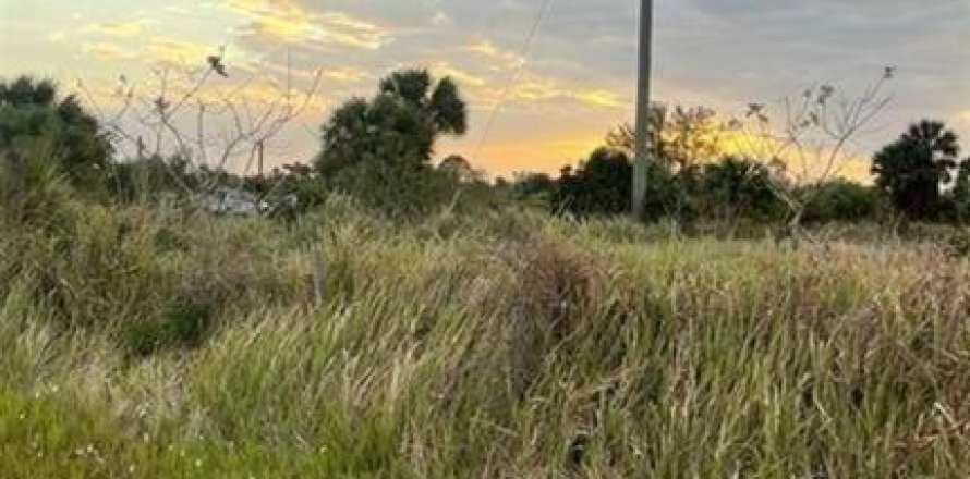 Land in Okeechobee, Florida № 2159108