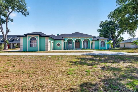 House in Riverview, Florida 4 bedrooms, 342.25 sq.m. № 2151846