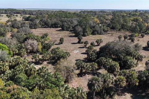 Land in Immokalee, Florida № 1876913 - photo 6