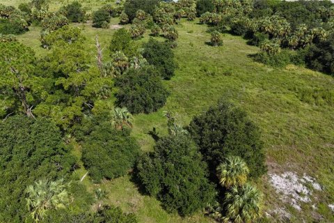Land in Immokalee, Florida № 1876913 - photo 28