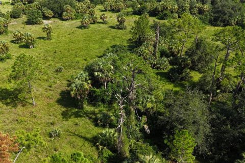 Land in Immokalee, Florida № 1876913 - photo 13
