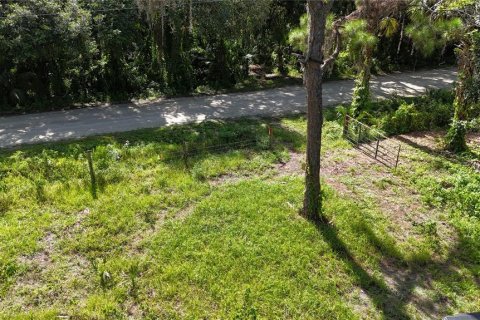 Land in Immokalee, Florida № 1876913 - photo 7