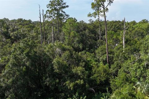 Land in Immokalee, Florida № 1876913 - photo 27