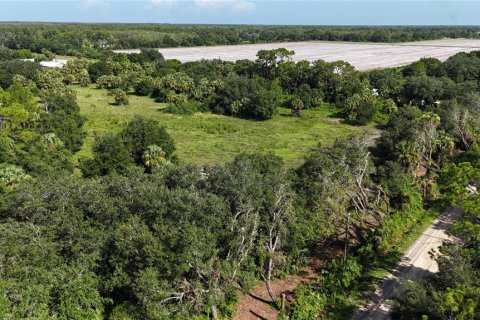 Land in Immokalee, Florida № 1876913 - photo 10