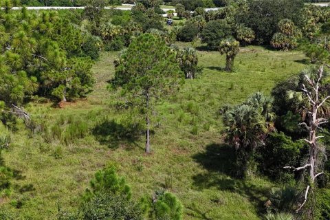 Land in Immokalee, Florida № 1876913 - photo 15