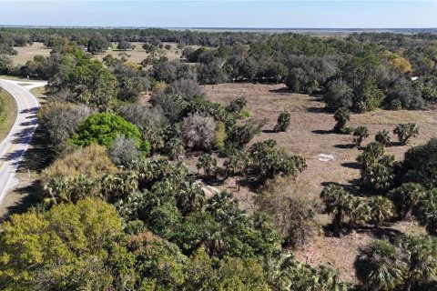 Land in Immokalee, Florida № 1876913 - photo 4