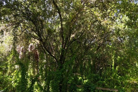 Land in Immokalee, Florida № 1876913 - photo 26