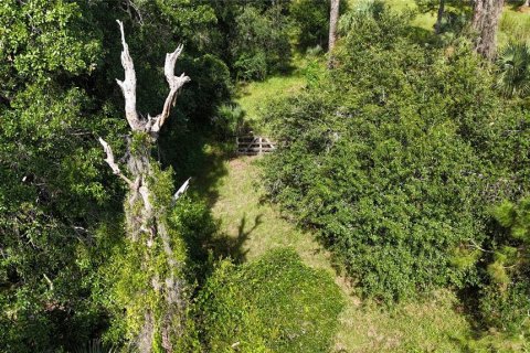 Land in Immokalee, Florida № 1876913 - photo 16