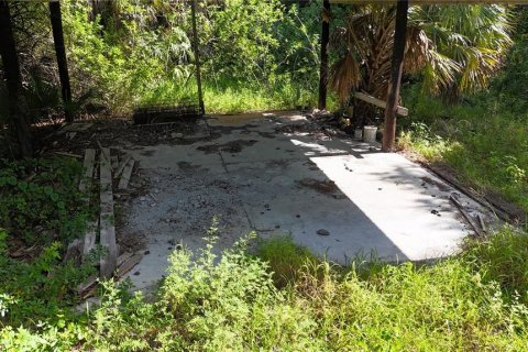 Land in Immokalee, Florida № 1876913 - photo 21