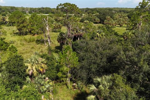 Land in Immokalee, Florida № 1876913 - photo 14
