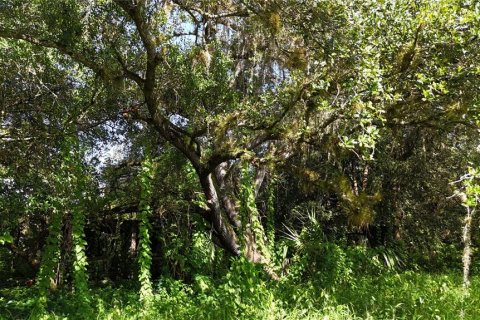 Land in Immokalee, Florida № 1876913 - photo 30