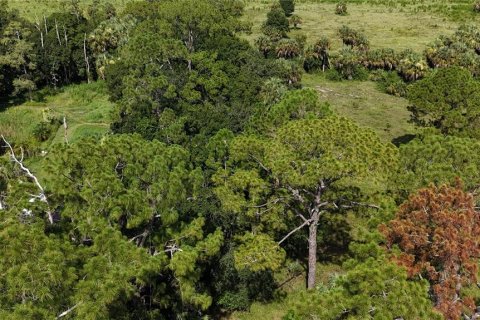 Land in Immokalee, Florida № 1876913 - photo 25