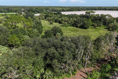 Land in Immokalee, Florida № 1876913 - photo 3