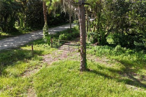 Land in Immokalee, Florida № 1876913 - photo 8