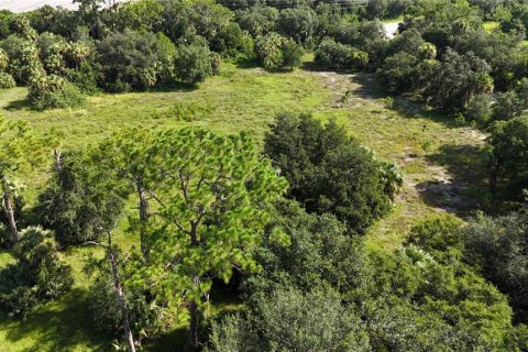 Land in Immokalee, Florida № 1876913 - photo 24
