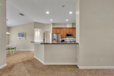 House in Mount Dora, Florida 3 bedrooms, 178.93 sq.m. № 1902393 - photo 21
