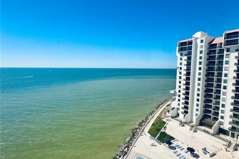 Copropriété à louer à Clearwater, Floride: 2 chambres, 117.43 m2 № 2416393 - photo 12