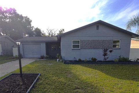 Снять в аренду виллу или дом в Тампа, Флорида 3 комнаты, 100.71м2, № 1843251 - фото 2