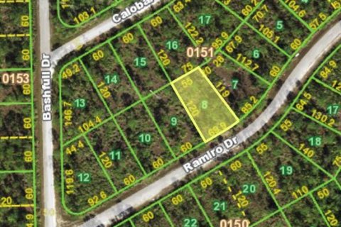 Land in Punta Gorda, Florida № 2161811 - photo 8