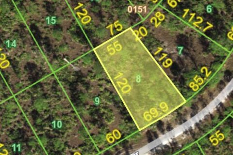 Land in Punta Gorda, Florida № 2161811 - photo 7