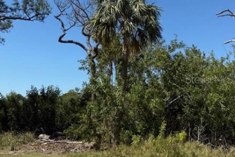 Land in Tarpon Springs, Florida № 1648681 - photo 3