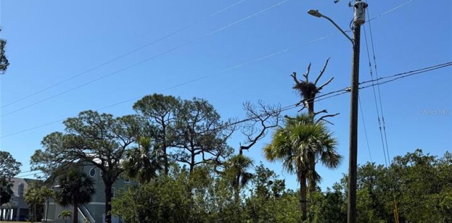 Terreno en Tarpon Springs, Florida № 1648681